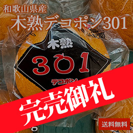 [一富士][和歌山県産] 木熟デコポン301 約3kg