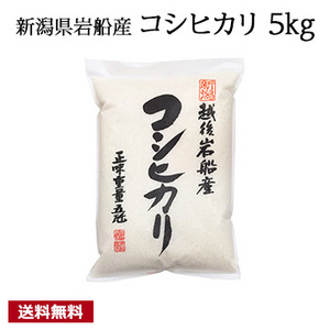 ［新潟県岩船産］コシヒカリ　令和７年度産