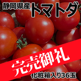 [一富士][静岡県産] トマトダ