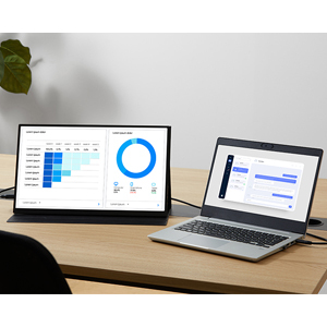 [アイリスオーヤマ] ポータブルモニター 18.5インチ DP-EF184S-B 110456