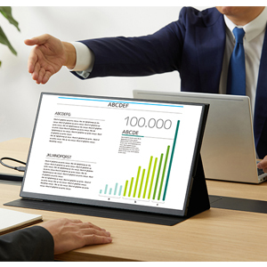 [アイリスオーヤマ] ポータブルモニター 18.5インチ DP-EF184S-B 110456