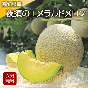 【5月上旬以降のお届け予定】[高知県産]夜須のエメラルドメロン