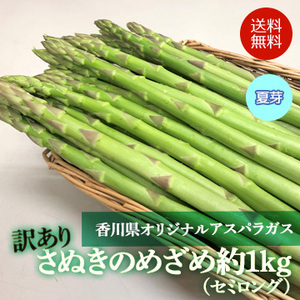 【6月下旬以降のお届け予定】[香川県産]訳ありさぬきのめざめ(セミロング)夏芽 約1kg