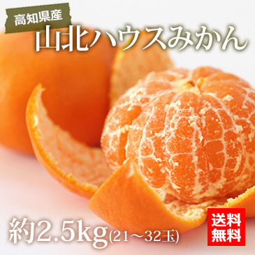 【6月上旬以降のお届け予定】[高知県産]山北ハウスみかん