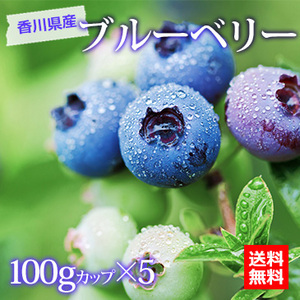 【5月下旬以降のお届け予定】[香川・愛媛・高知県産]ブルーベリー