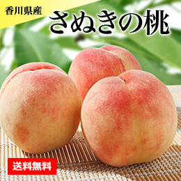 【6月下旬以降のお届け予定】[香川県産] さぬきの桃 約1.8kg