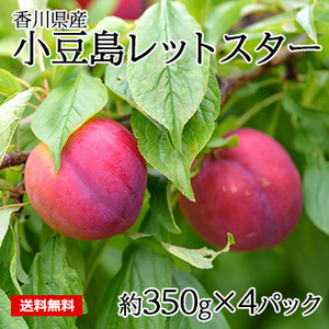 【5月下旬以降のお届け予定】[香川県産]小豆島レットスター(すもも)