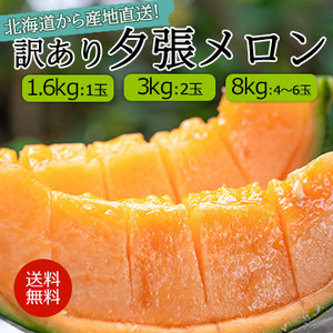 【7月上旬以降のお届け予定】北海道から産地直送！訳あり 夕張メロン 予約販売！