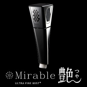 [サイエンス] ミラブル艶（つや）