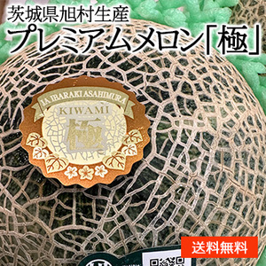 【6月初旬以降のお届け予定】［一富士］[茨城県旭村生産] プレミアムメロン「極」