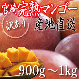 [宮崎産]訳あり完熟マンゴー 約900g〜1kg