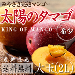 [宮崎産]太陽のタマゴ　約350g/玉