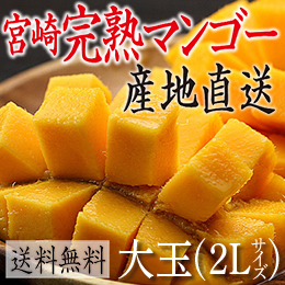 [宮崎産]完熟マンゴー　約450g/玉