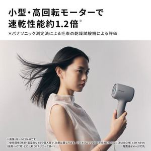 パナソニック EH-NE9N-H ヘアードライヤー イオニティ 速乾 温風リズムヘッドスパ対応 UVダメージ抑制 モダングレー