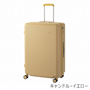 [ace.] ハント ココント (05516) 97L