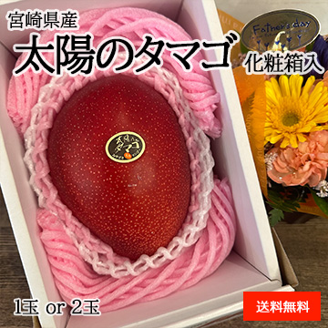 ［一富士］[宮崎県産］太陽のタマゴ 化粧箱入