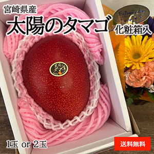 ［一富士］[宮崎県産］太陽のタマゴ 化粧箱入