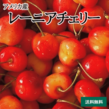 【6月中旬以降のお届け予定】［一富士］[アメリカ産］レーニアチェリー