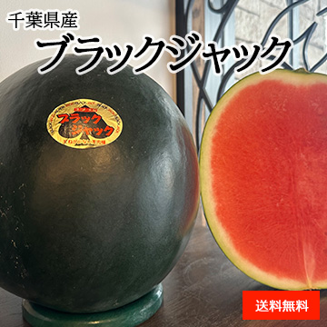 【6月中旬以降のお届け予定】［一富士］[千葉県産］ブラックジャック(種なしスイカ)