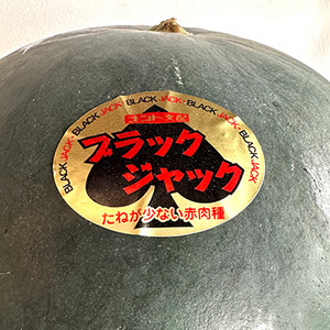 【6月中旬以降のお届け予定】［一富士］[千葉県産］ブラックジャック(種なしスイカ)