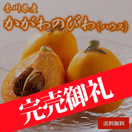 【4月下旬以降のお届け予定】[香川県産] かがわのびわ(ハウス) 化粧箱入