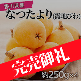 【5月中旬以降のお届け予定】[香川県産] なつたより(露地びわ)