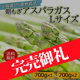 6月1日申込締切【5月下旬以降のお届け予定】北海道から産地直送!朝もぎアスパラガス Lサイズ
