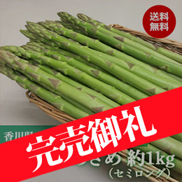 【3月中旬以降のお届け予定】【香川県オリジナルアスパラガス】さぬきのめざめ（セミロング）春芽 約1kg