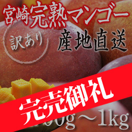 [宮崎産]訳あり完熟マンゴー 約900g〜1kg