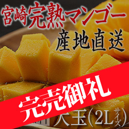 [宮崎産]完熟マンゴー　約450g/玉