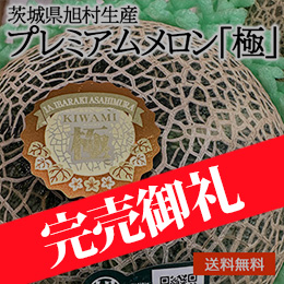 【5月下旬頃からお届け予定】［一富士］[茨城県旭村生産] プレミアムメロン「極」