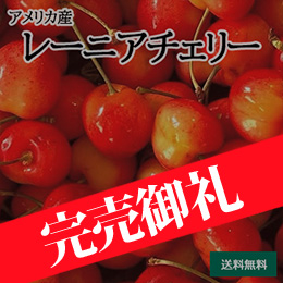 【6月中旬以降のお届け予定】［一富士］[アメリカ産］レーニアチェリー