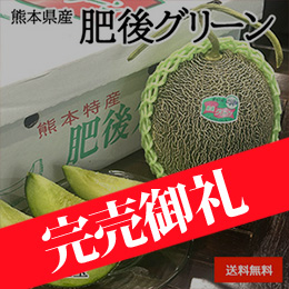 ［一富士］[熊本県産］肥後グリーン (メロン)