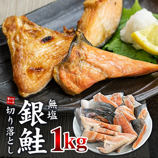 [まぐろ処一条]銀鮭 切り落とし 1kg