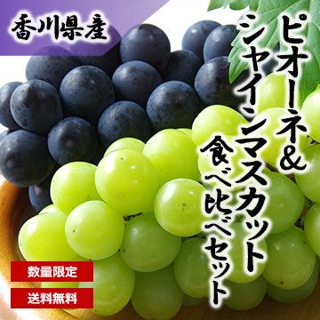 【7月下旬以降のお届け予定】[香川県産] ピオーネ&シャインマスカット食べ比べセット