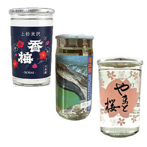【酒】お手軽!飲みきりサイズのワンカップ12本セット