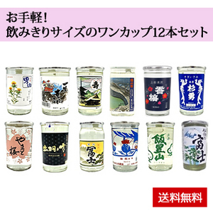【酒】お手軽!飲みきりサイズのワンカップ12本セット