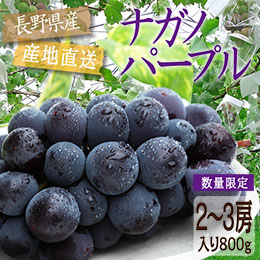 【8月上旬以降のお届け予定】[長野県産]ナガノパープル 約800g以上（2〜3房入り）