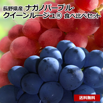 【8月中旬以降のお届け予定】[長野県産]ナガノパープル・クイーンルージュ&reg;　食べ比べセット　800g以上