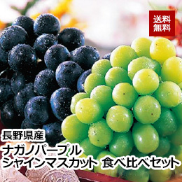 【8月上旬以降のお届け予定】[長野県産]ナガノパープル・シャインマスカット食べ比べセット