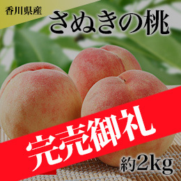 【6月下旬以降のお届け予定】[香川県産] さぬきの桃 約1.8kg