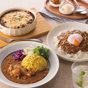 福岡 「博多華味鳥」 カレーセット9食入り