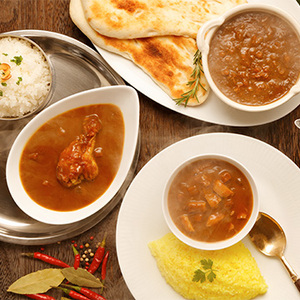 福岡 「博多華味鳥」 カレーセット9食入り