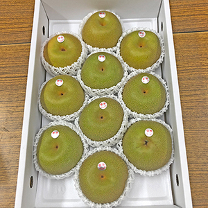【8月上旬以降のお届け予定】[徳島県産] 幸水梨 秀品 約4kg(7〜12玉) 