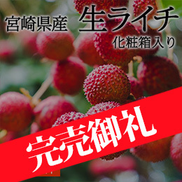 【6月中旬以降のお届け予定】［一富士］[宮崎県産] 生ライチ