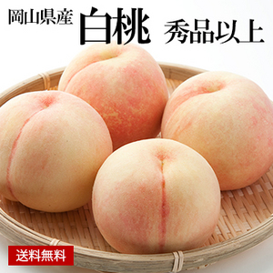 ［一富士］［岡山県産］白桃 約2kg 秀品以上
