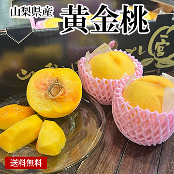 ［一富士］［山梨県産］黄金桃