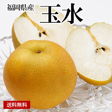 ［一富士］［福岡県産］玉水(梨)