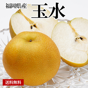 ［一富士］［福岡県産］玉水(梨)