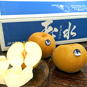［一富士］［福岡県産］玉水(梨)
